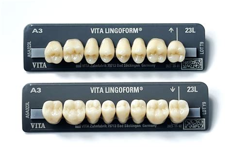 vitapan|VITAPAN® LINGOFORM Posterior